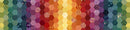 Patricks Promise- Hexagon Multi  R162111D-MULTI