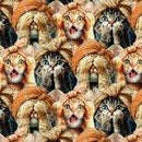 3 Wishes, Please Seat Yourself, Three Wise Cats