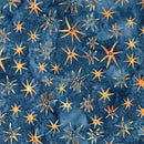 Starry Seas/Chromatic Blast Quilt Kit
