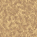 QT Fabrics, Color Dance-EA