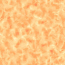QT Fabrics, Color Dance-OS