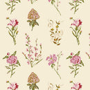 Art Gallery, Anthology, Garden Study Blush
