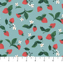 Field Trip, Strawberries on Light Teal