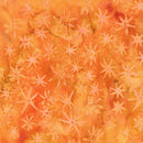 Island Batik, Starry Seas, Sea Stars, Orange Cheddar