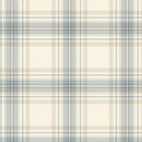 Marcus, Minky, Plaid, Sky