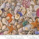 Moda, Cathe Holden, Saltwater, Seas The Day Novelty Sea Shells