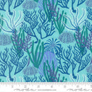 Moda, Reef, Coral Reef, Algae