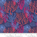 Moda, Reef, Coral Reef, Dusk