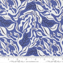 Moda, Reef, Under The Sea, Blue Whale