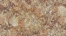 Northcott Fabrics, Turtle Bay, Stone, Brown