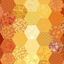 Patricks Promise- Hexagon Multi  R162111D-MULTI