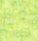 QT Fabrics, Vibe, 45" Blender, Celery Green