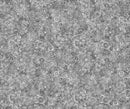 Quilting Treasures, Mystique, Wide Backing, Ash