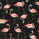 Robert Kaufman, Island Paradise, Flamingoes on Black