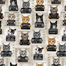 Timeless Treasures, Cat Mugshots, Beige