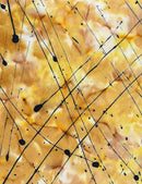 Timeless Treasures, Tonga Batiks - Spattered Thin Paint - Amber