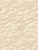 Timeless Treasures, You Are My Sunshine, Sand