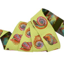 Tula Pink, Renaissance Ribbon, 1 1/2" (38mm) Wide. Lil Shelly, Seagrass