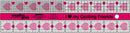 CGR 2.5 x 10" Quilting Friends